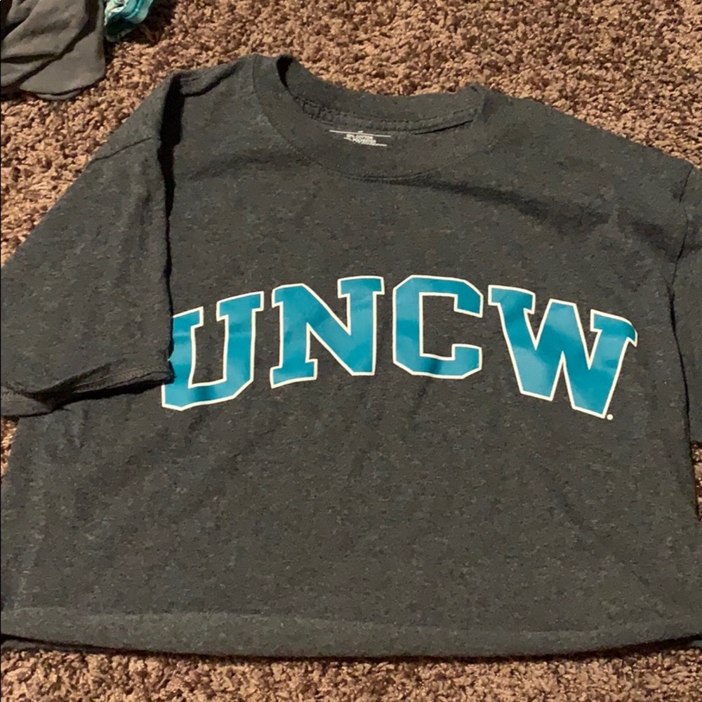 Champion Uncw cropped tee